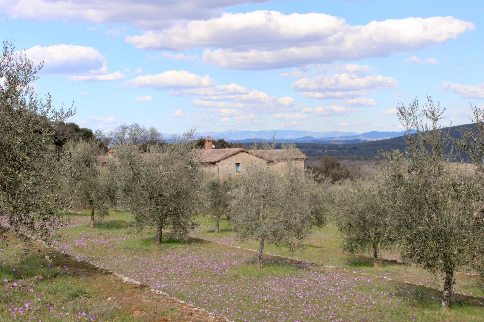 Agriturismo Il Caggio Sovicille Eksteriør billede