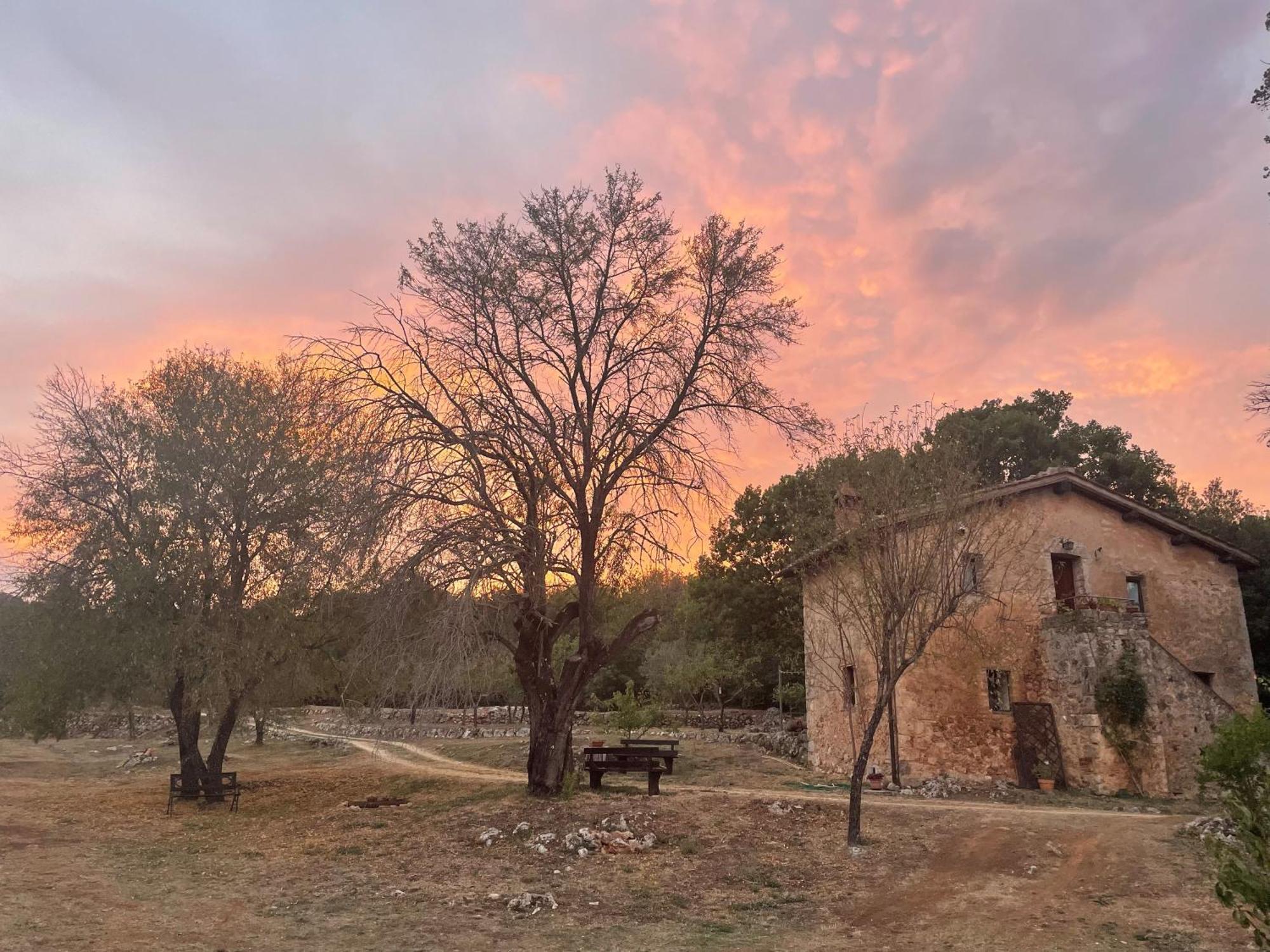 Agriturismo Il Caggio Sovicille Eksteriør billede