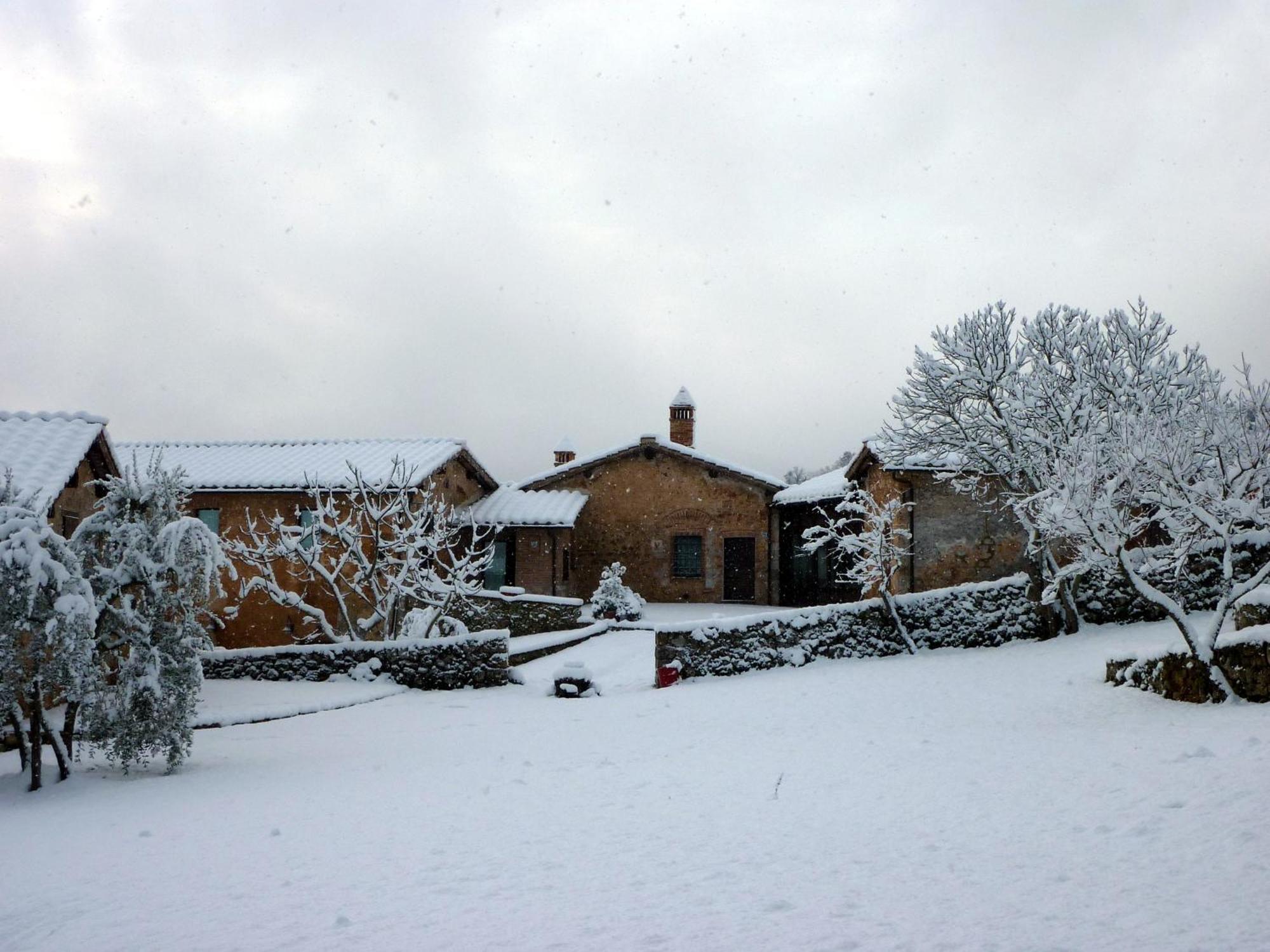 Agriturismo Il Caggio Sovicille Eksteriør billede